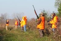 Fall Pheasant Hunt